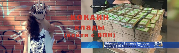 ПСИЛОЦИБИНОВЫЕ ГРИБЫ Верхнеуральск