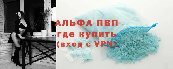 сатива Верея
