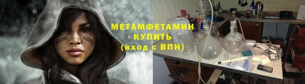 сатива Верея
