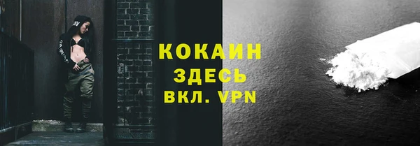 сатива Верея