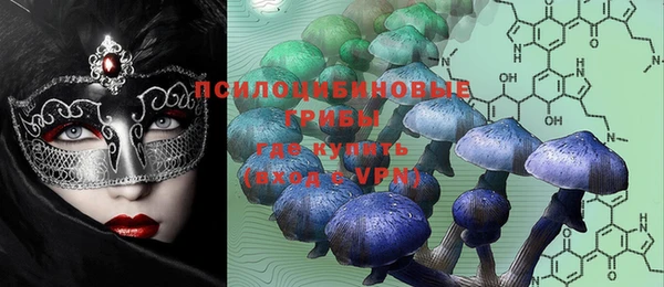 ПСИЛОЦИБИНОВЫЕ ГРИБЫ Верхнеуральск