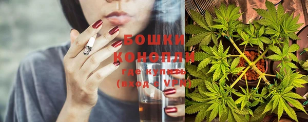сатива Верея