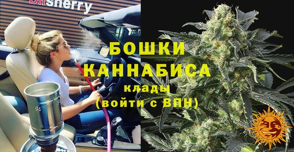 ПСИЛОЦИБИНОВЫЕ ГРИБЫ Верхнеуральск